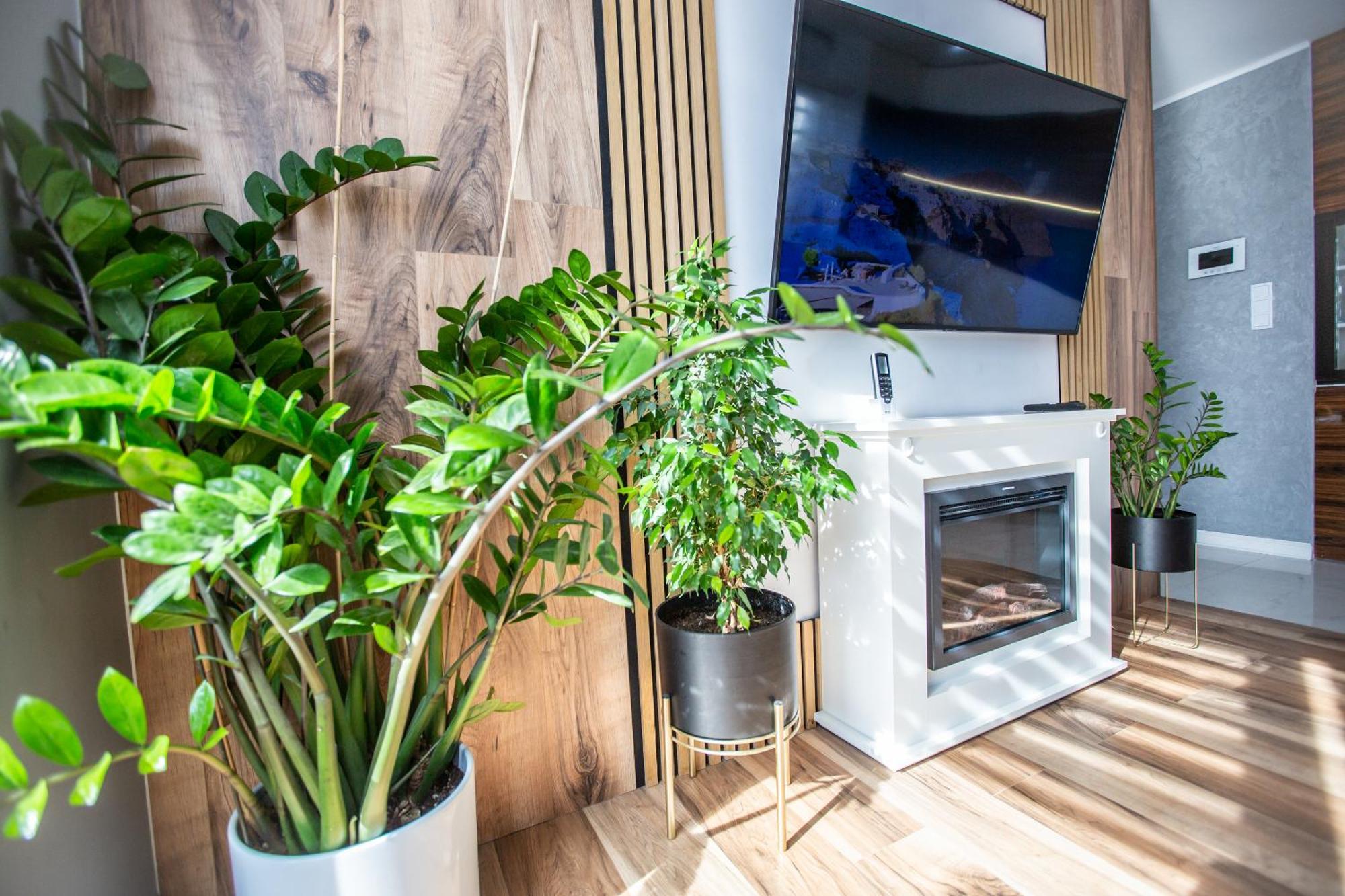 Wlodarska 4A Apartament Premium Krakkó Kültér fotó